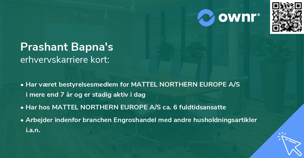 Prashant Bapna's erhvervskarriere kort