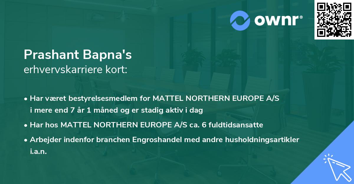 Prashant Bapna's erhvervskarriere kort