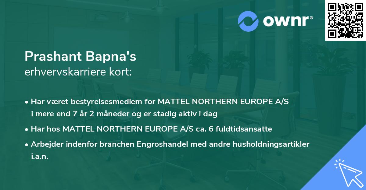 Prashant Bapna's erhvervskarriere kort