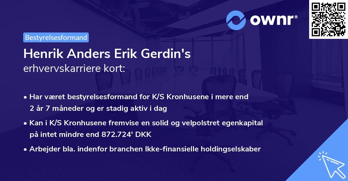 Henrik Anders Erik Gerdin's erhvervskarriere kort