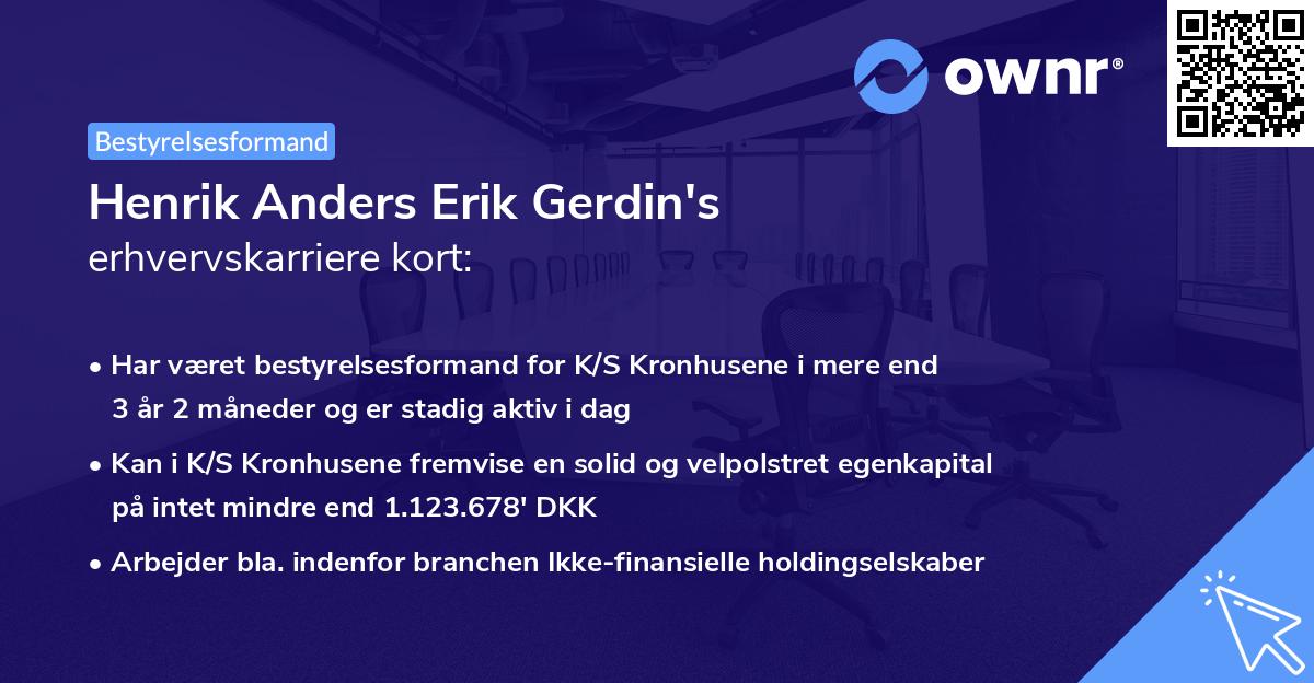 Henrik Anders Erik Gerdin's erhvervskarriere kort