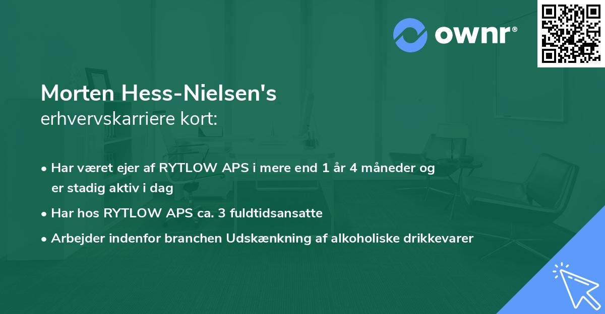 Morten Hess-Nielsen's erhvervskarriere kort