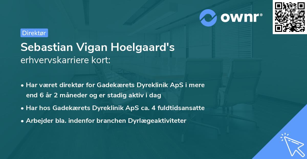 Sebastian Vigan Hoelgaard's erhvervskarriere kort