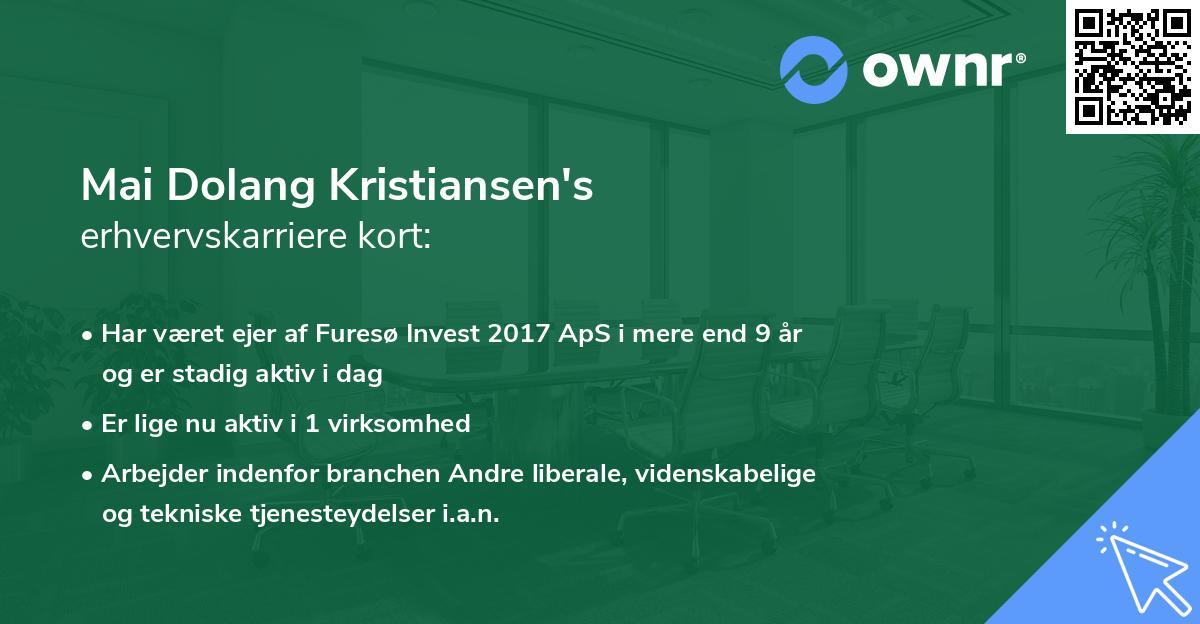 Mai Dolang Kristiansen's erhvervskarriere kort