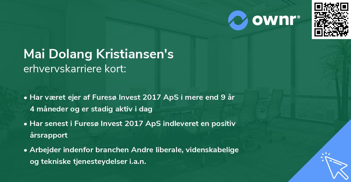 Mai Dolang Kristiansen's erhvervskarriere kort