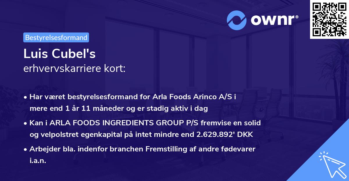 Luis Cubel's erhvervskarriere kort