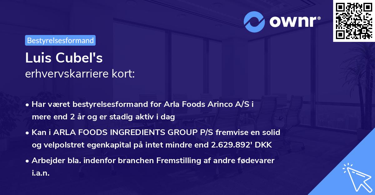 Luis Cubel's erhvervskarriere kort