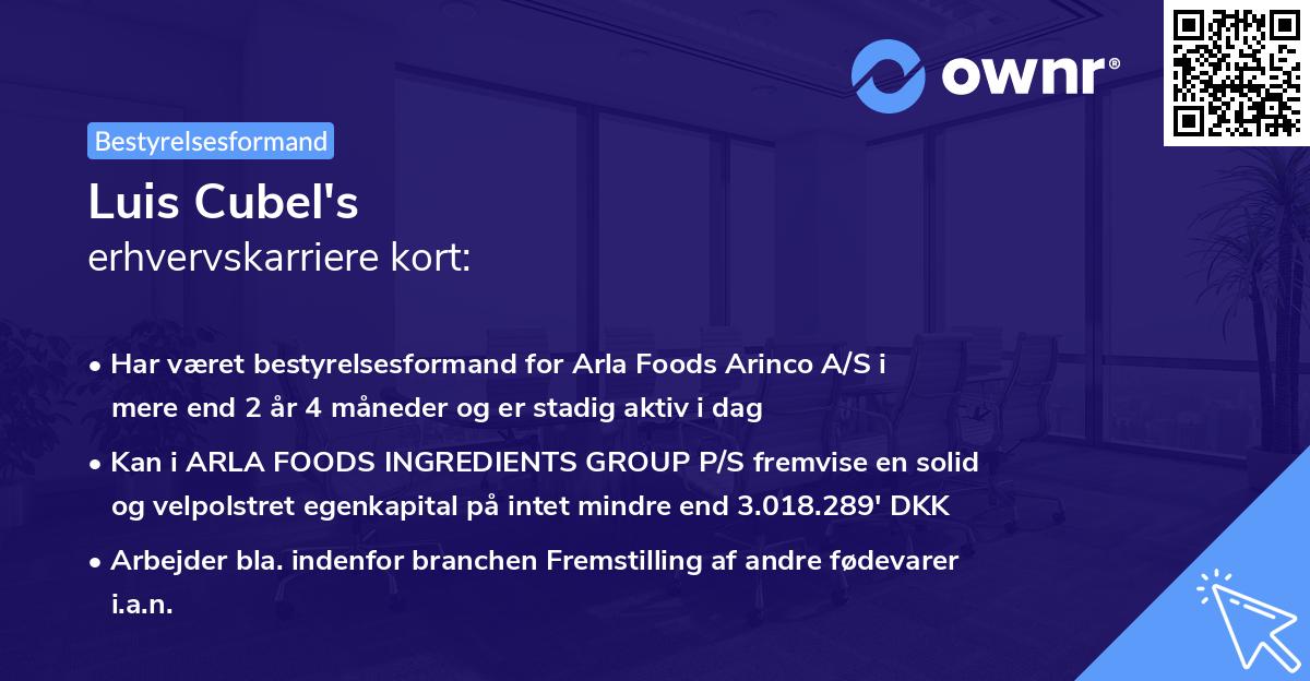 Luis Cubel's erhvervskarriere kort