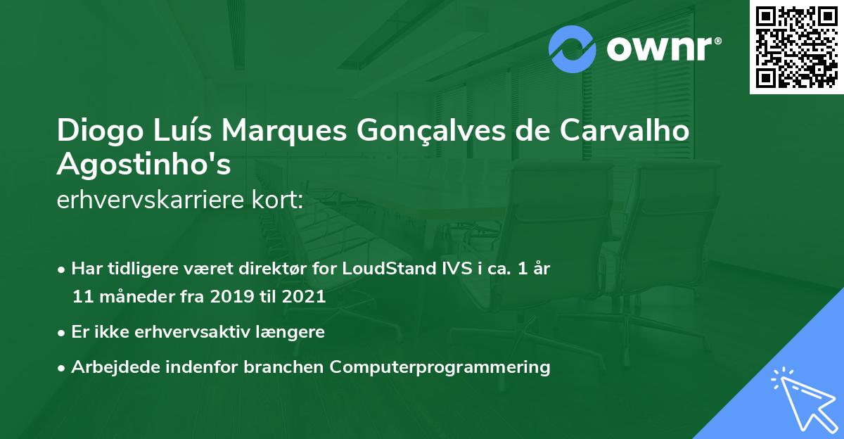 Diogo Luís Marques Gonçalves de Carvalho Agostinho's erhvervskarriere kort
