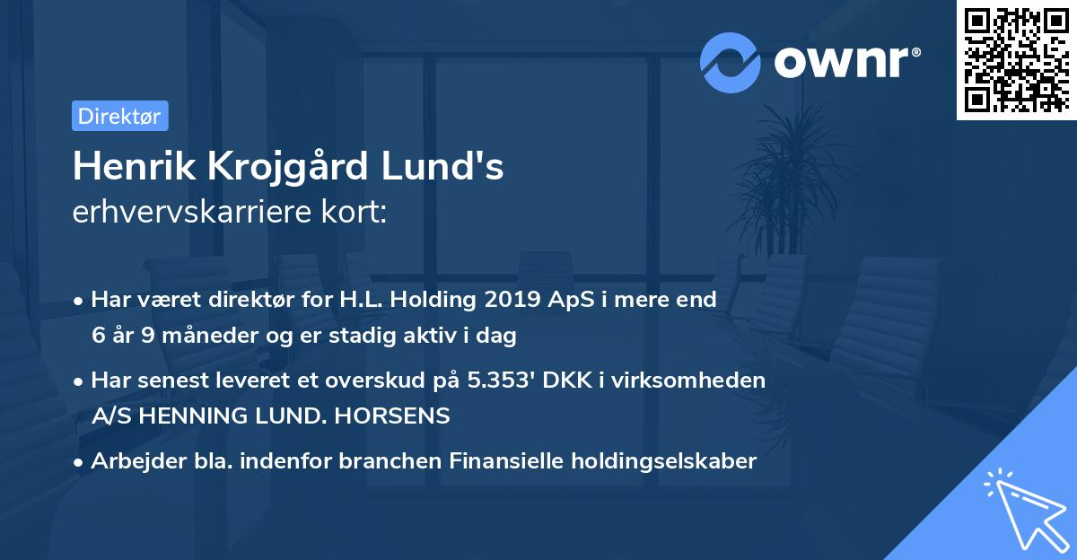 Henrik Krojgård Lund's erhvervskarriere kort
