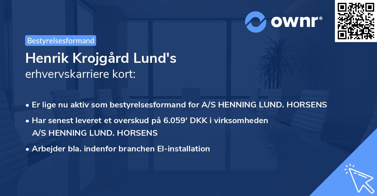 Henrik Krojgård Lund's erhvervskarriere kort