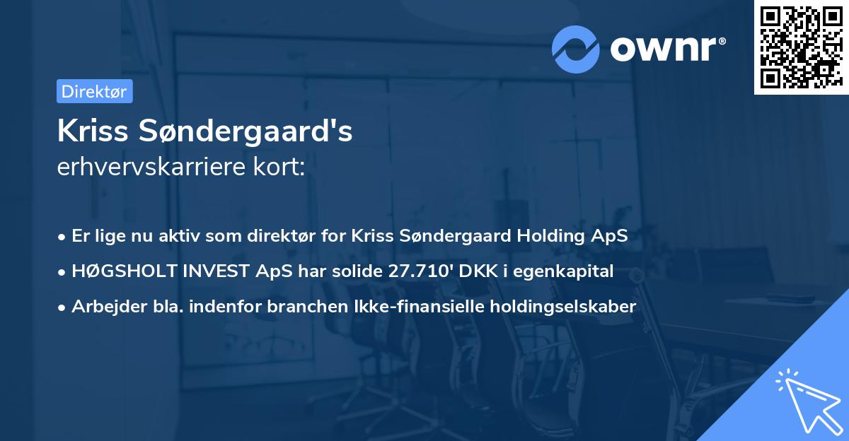 Kriss Søndergaard's erhvervskarriere kort