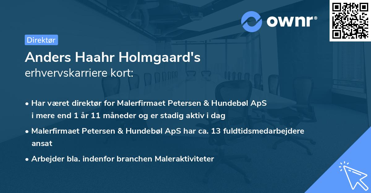Anders Haahr Holmgaard's erhvervskarriere kort