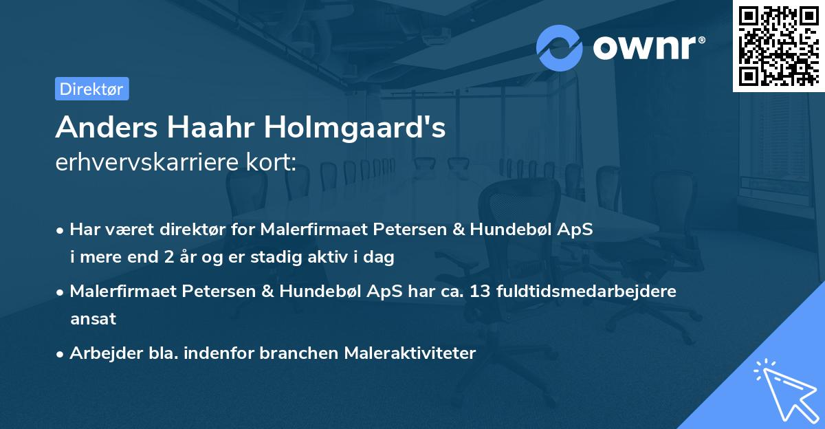 Anders Haahr Holmgaard's erhvervskarriere kort