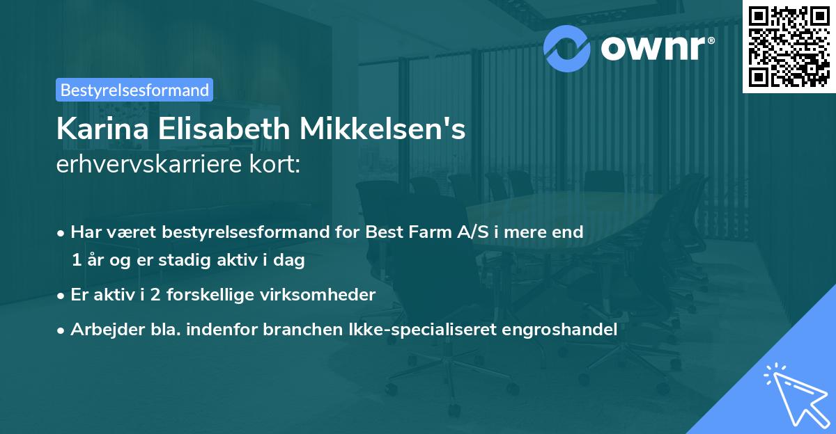 Karina Elisabeth Mikkelsen's erhvervskarriere kort