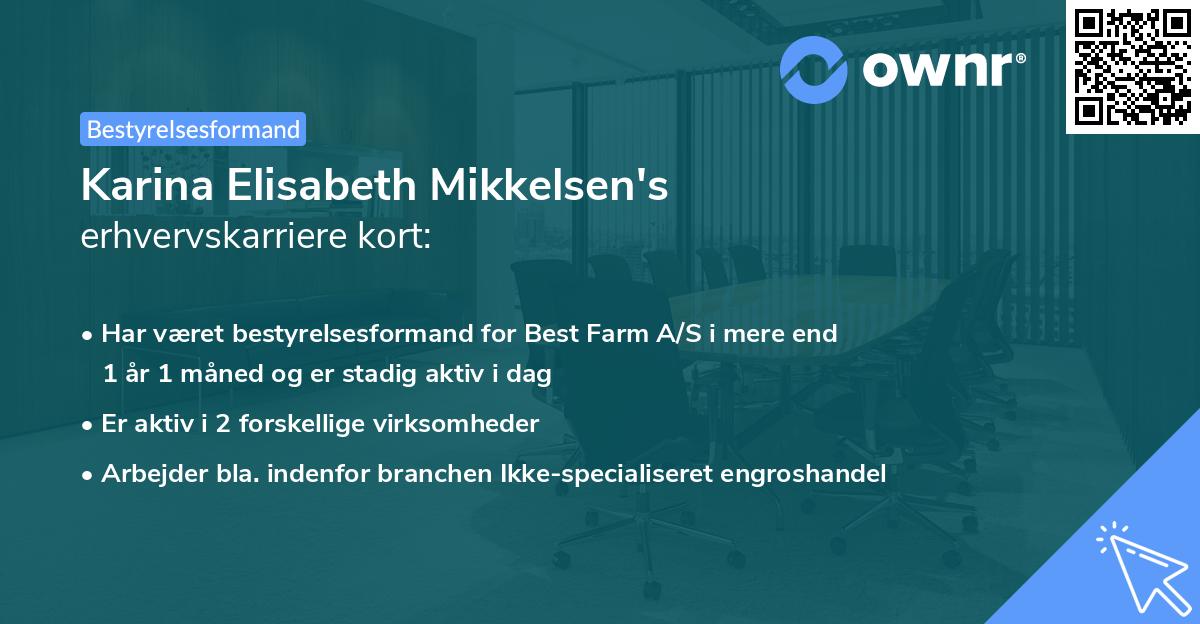 Karina Elisabeth Mikkelsen's erhvervskarriere kort