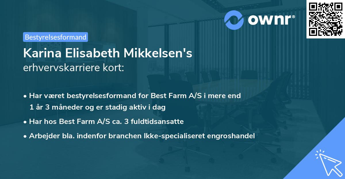 Karina Elisabeth Mikkelsen's erhvervskarriere kort