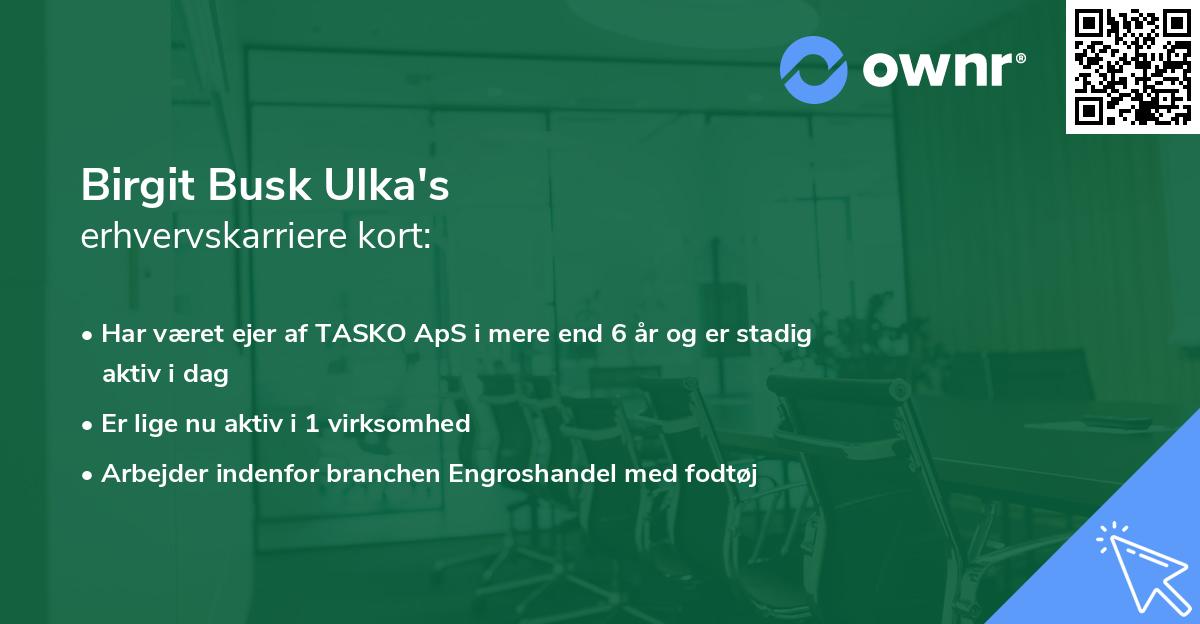 Birgit Busk Ulka's erhvervskarriere kort