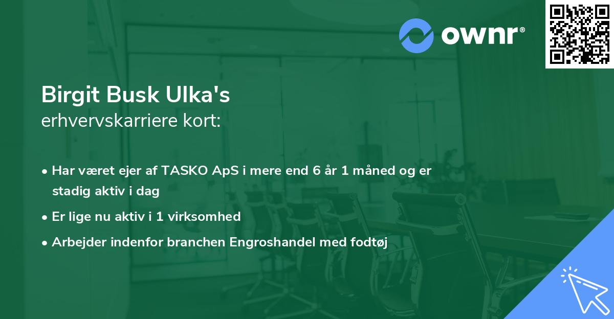 Birgit Busk Ulka's erhvervskarriere kort