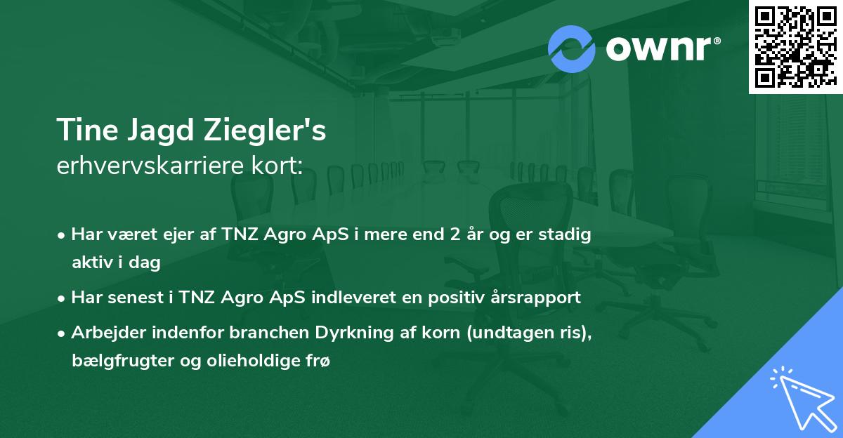 Tine Jagd Ziegler's erhvervskarriere kort