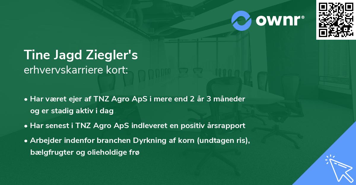 Tine Jagd Ziegler's erhvervskarriere kort