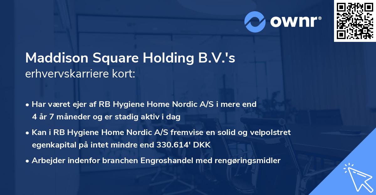 Maddison Square Holding B.V.'s erhvervskarriere kort