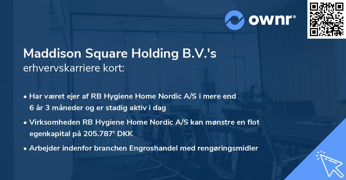 Maddison Square Holding B.V.'s erhvervskarriere kort