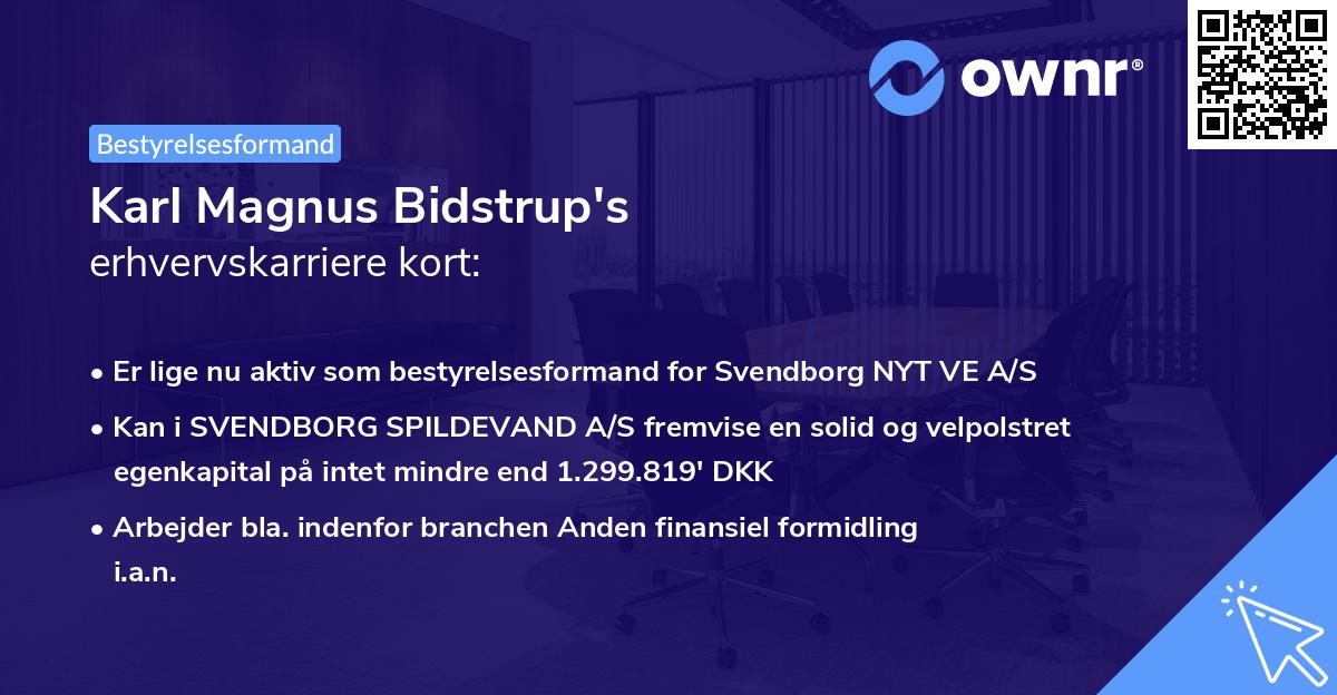 Karl Magnus Bidstrup's erhvervskarriere kort