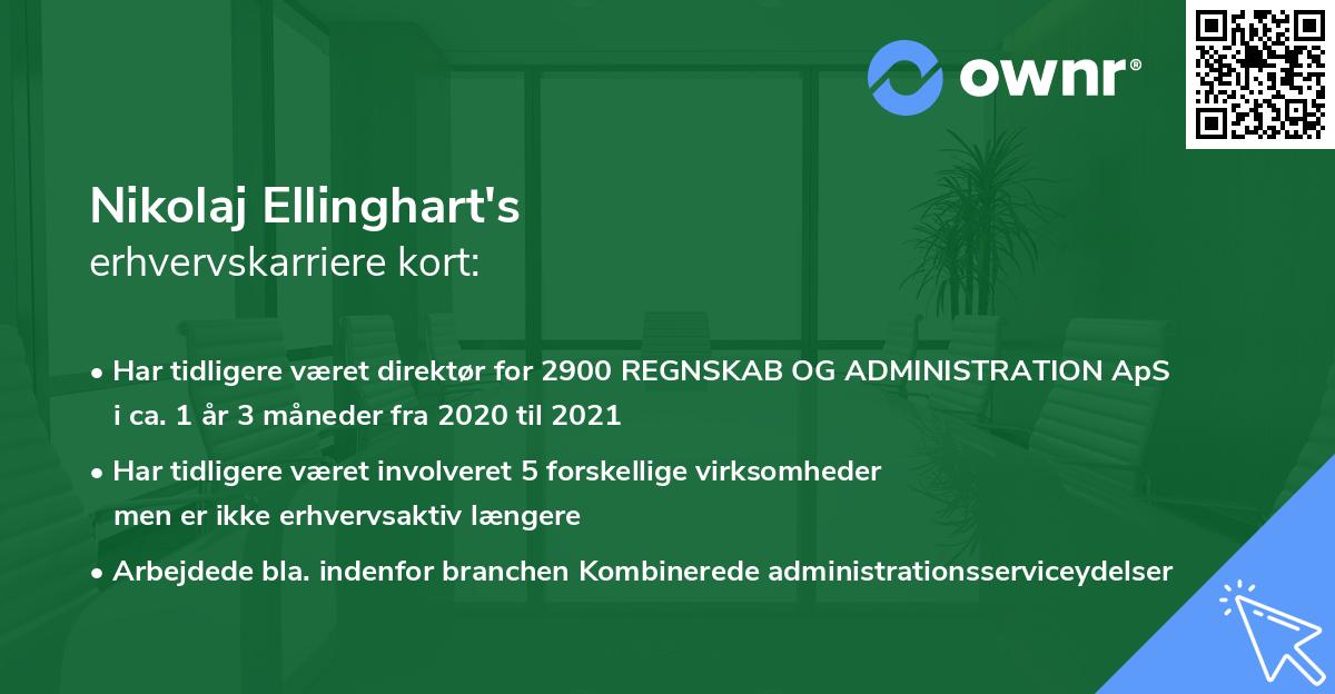 Nikolaj Ellinghart's erhvervskarriere kort