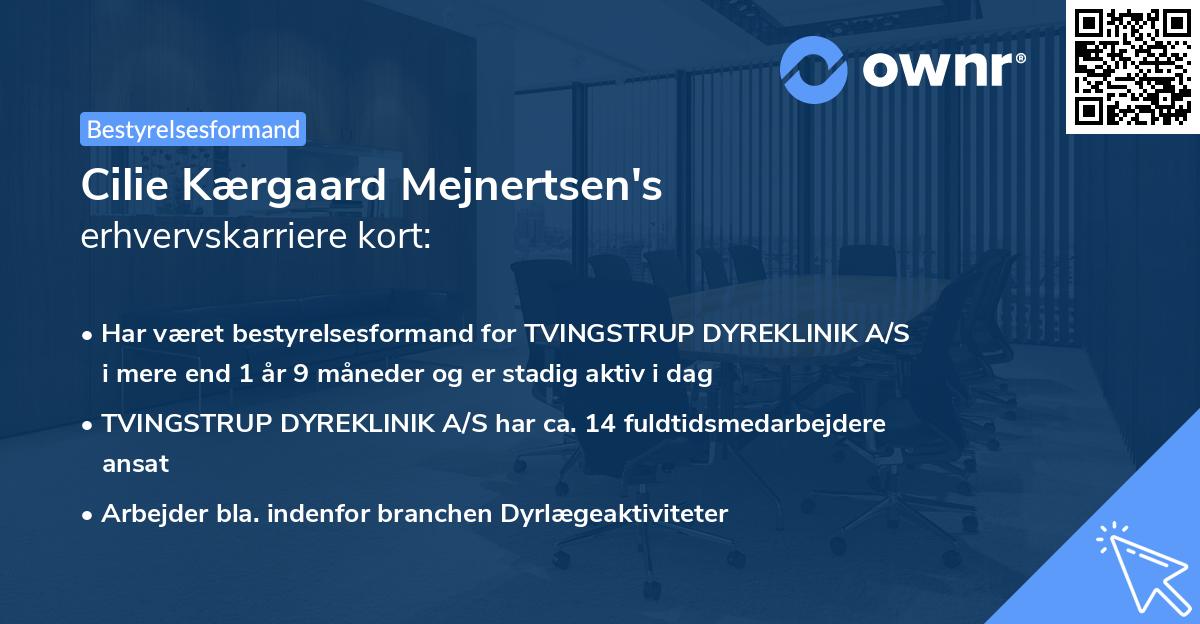 Cilie Kærgaard Mejnertsen's erhvervskarriere kort