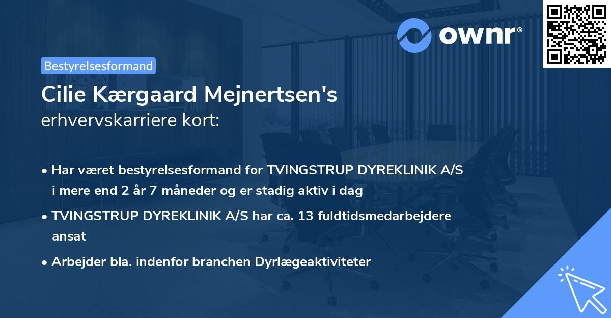 Cilie Kærgaard Mejnertsen's erhvervskarriere kort