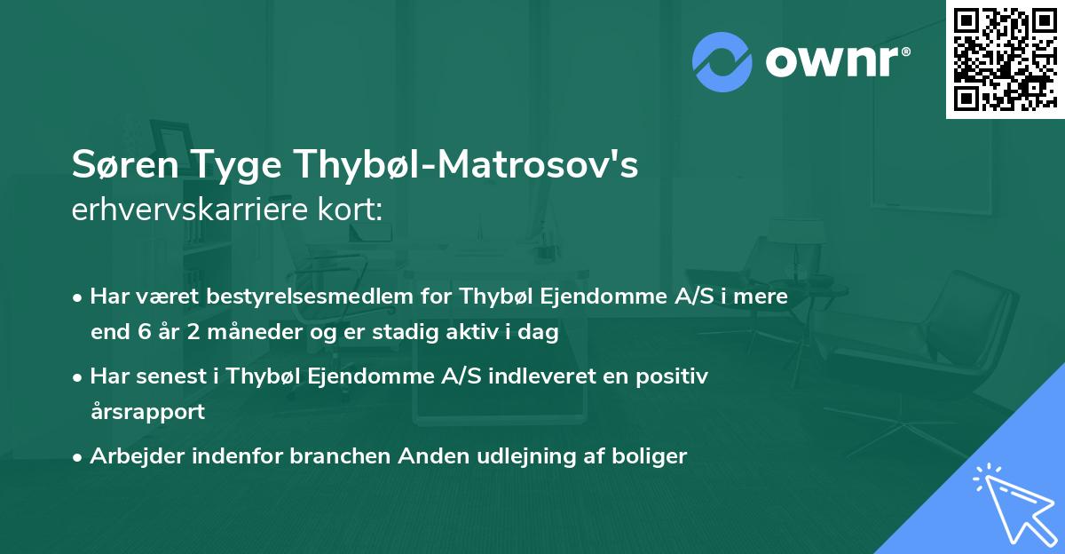 Søren Tyge Thybøl-Matrosov's erhvervskarriere kort