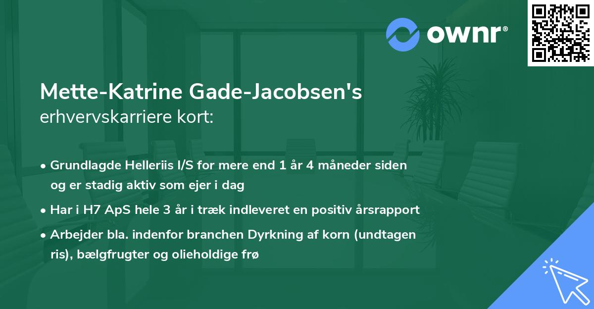 Mette-Katrine Gade-Jacobsen's erhvervskarriere kort
