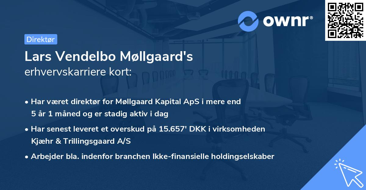 Lars Vendelbo Møllgaard's erhvervskarriere kort