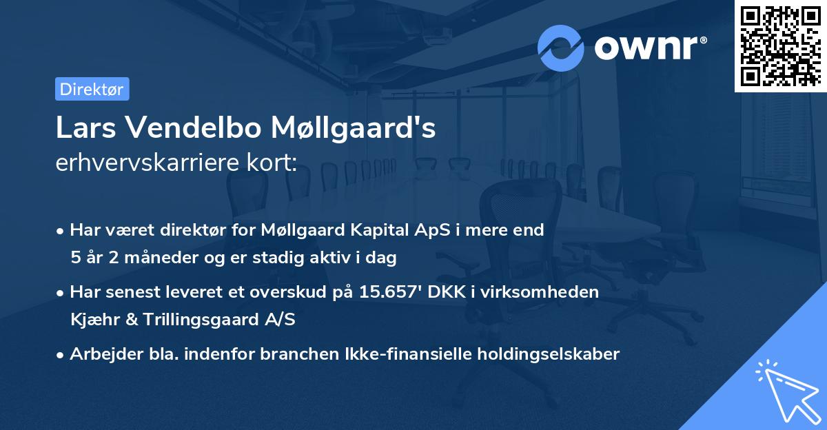 Lars Vendelbo Møllgaard's erhvervskarriere kort