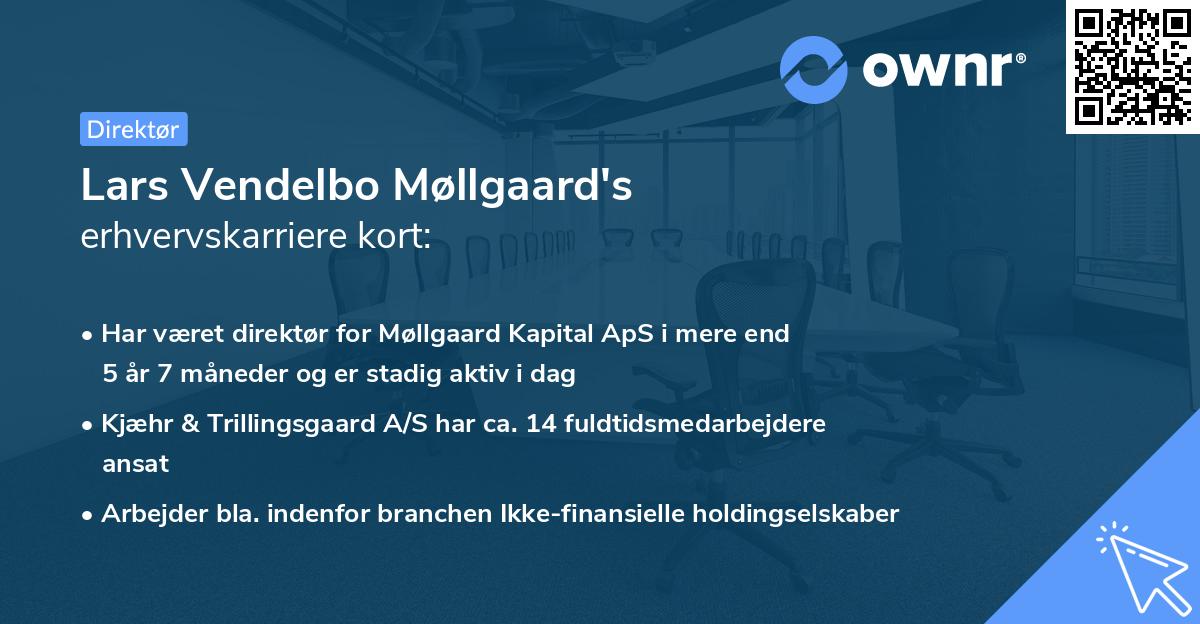 Lars Vendelbo Møllgaard's erhvervskarriere kort