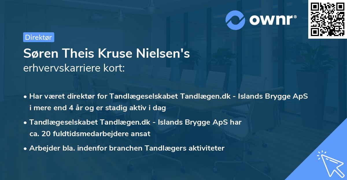 Søren Theis Kruse Nielsen's erhvervskarriere kort