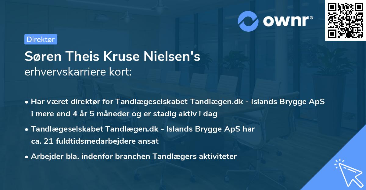 Søren Theis Kruse Nielsen's erhvervskarriere kort