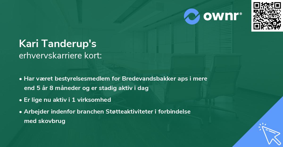 Kari Tanderup's erhvervskarriere kort