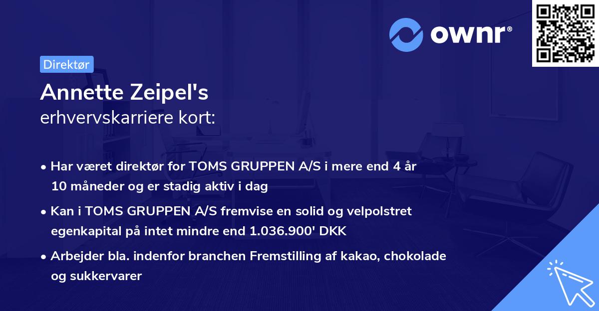 Annette Zeipel's erhvervskarriere kort