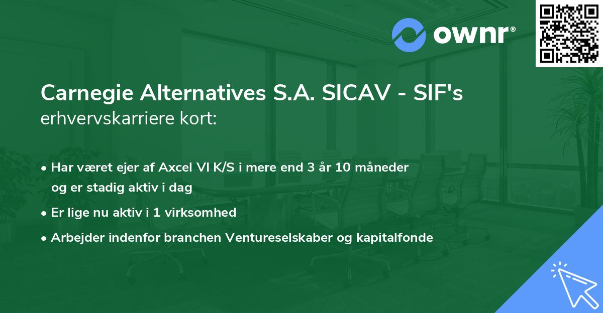 Carnegie Alternatives S.A. SICAV - SIF's erhvervskarriere kort