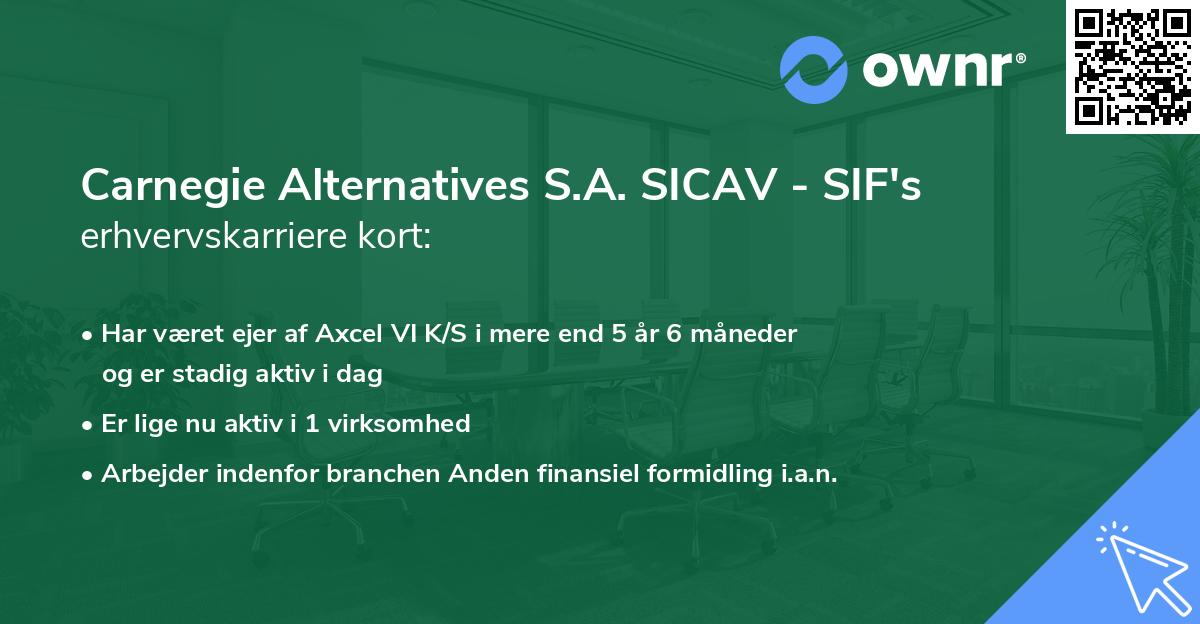 Carnegie Alternatives S.A. SICAV - SIF's erhvervskarriere kort