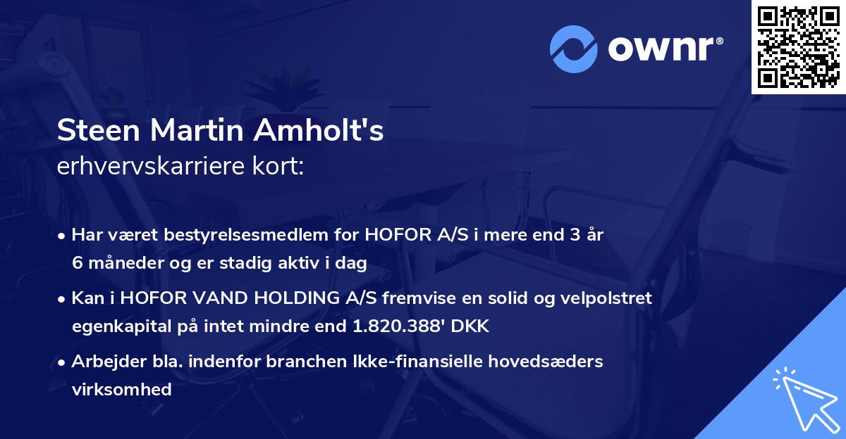 Steen Martin Amholt's erhvervskarriere kort