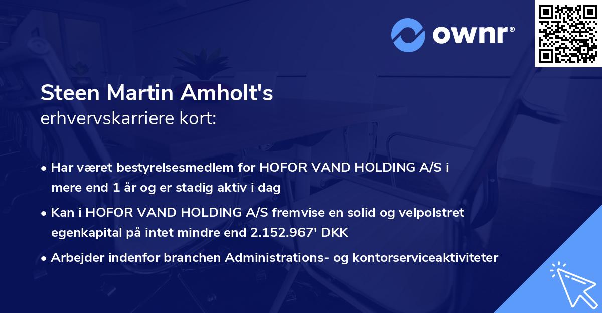 Steen Martin Amholt's erhvervskarriere kort