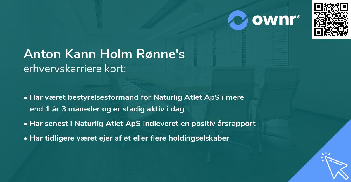 Anton Kann Holm Rønne's erhvervskarriere kort