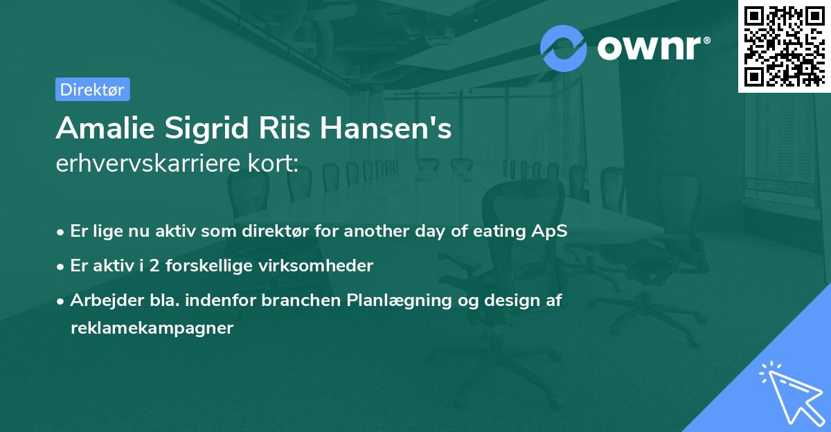 Amalie Sigrid Riis Hansen's erhvervskarriere kort
