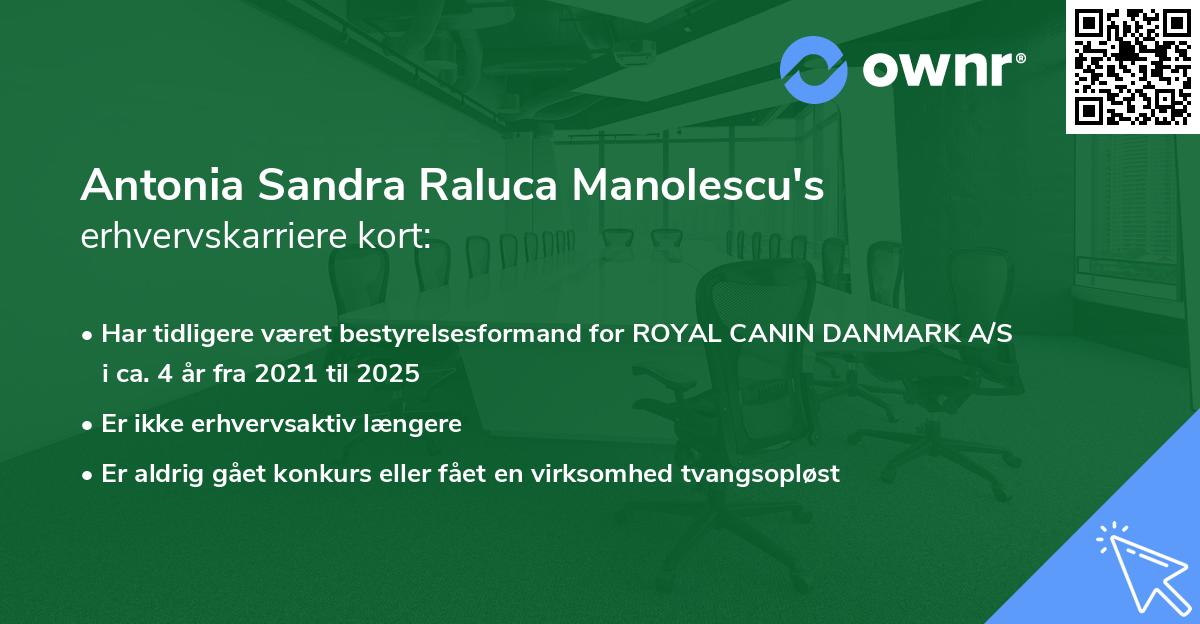 Antonia Sandra Raluca Manolescu's erhvervskarriere kort