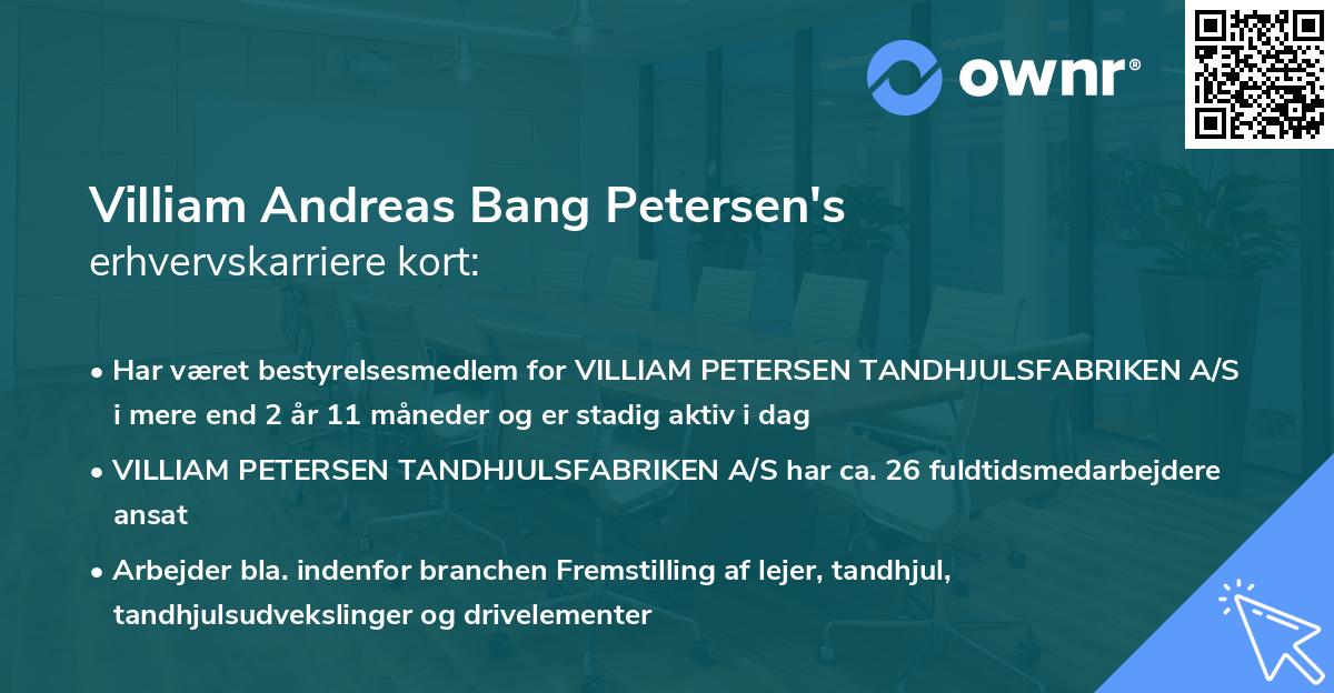 Villiam Andreas Bang Petersen's erhvervskarriere kort