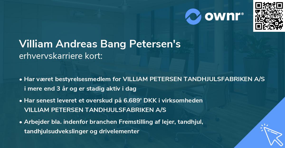 Villiam Andreas Bang Petersen's erhvervskarriere kort