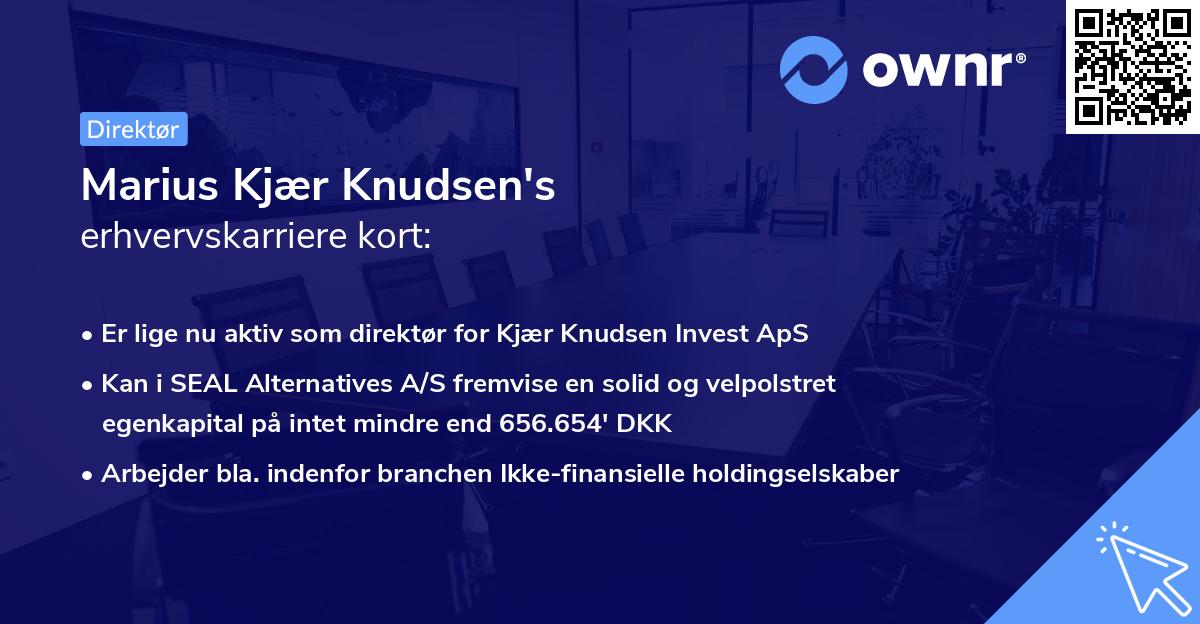 Marius Kjær Knudsen's erhvervskarriere kort